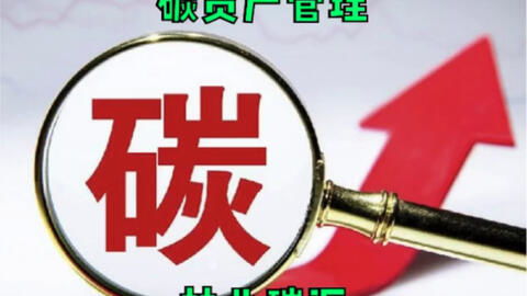 碳資產(chǎn)管理好做嗎 什么是買碳賣碳投資碳